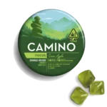 Camino Green Apple THCV Gummies