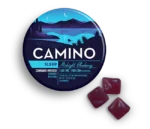 Camino Midnight Blueberry Sleep Gummies
