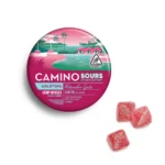 Camino Sours Watermelon Spritz Uplifting