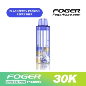 Foger Blackberry Passion Refresher — Switch Pro 30K