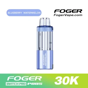 Foger Blueberry Watermelon — Switch Pro 30K